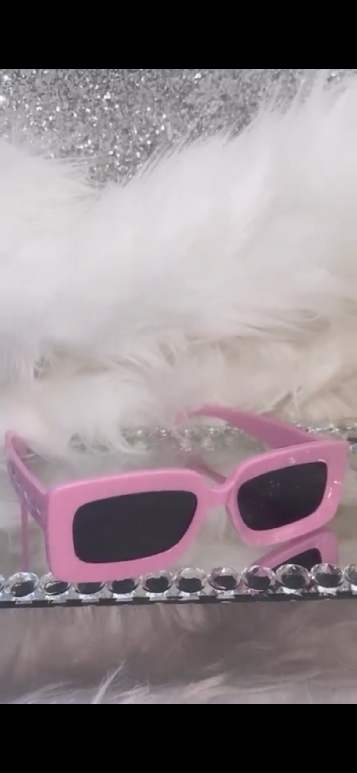 Barbiee Sunglasses